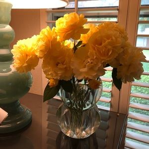 Meet your Posher, Janet